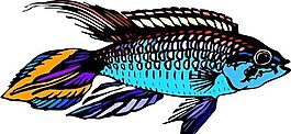 五彩小魚 水生動(dòng)物 矢量素材 EPS格式_0184