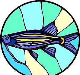 五彩小魚 水生動物 矢量素材 EPS格式_0173