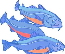 五彩小魚 水生動(dòng)物 矢量素材 EPS格式_0161
