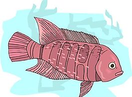 五彩小魚 水生動(dòng)物 矢量素材 EPS格式_0153