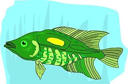 五彩小魚 水生動物 矢量素材 EPS格式_0147