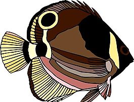 五彩小魚 水生動(dòng)物 矢量素材 EPS格式_0079