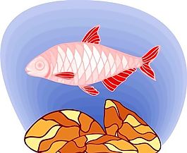 五彩小魚 水生動物 矢量素材 EPS格式_0067