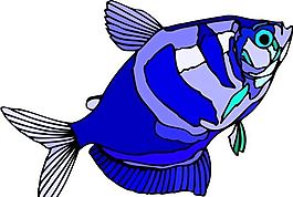 五彩小魚 水生動(dòng)物 矢量素材 EPS格式_0063