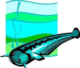 五彩小魚 水生動物 矢量素材 EPS格式_0062