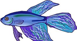 五彩小魚 水生動(dòng)物 矢量素材 EPS格式_0055