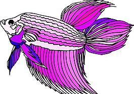 五彩小魚 水生動(dòng)物 矢量素材 EPS格式_0052