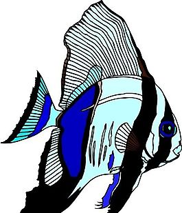 五彩小魚 水生動物 矢量素材 EPS格式_0050