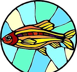 五彩小魚 水生動物 矢量素材 EPS格式_0044