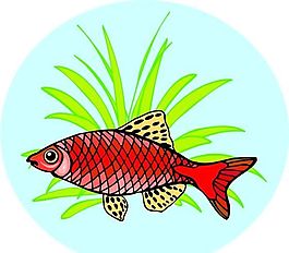 五彩小魚 水生動物 矢量素材 EPS格式_0041
