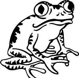 蛙類 兩棲動物 矢量素材 EPS格式_0009