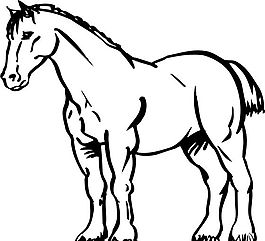馬 家禽家畜 矢量素材 eps格式_0134