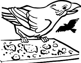 鳥類 動物 矢量素材 eps格式_0003