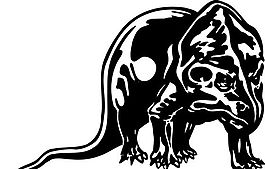 野生動物 矢量素材 eps格式_0179