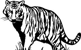 野生動物 矢量素材 eps格式_0153