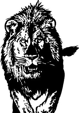 野生動物 矢量素材 eps格式_0133