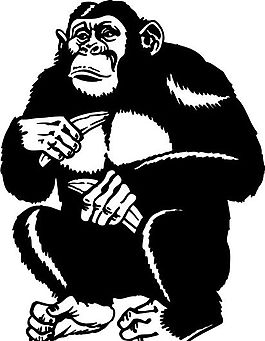 野生動物 矢量素材 eps格式_0105