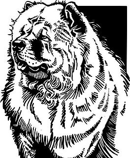 野生動物 矢量素材 eps格式_0069