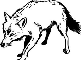 野生動物 矢量素材 eps格式_0030