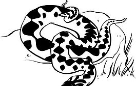 蛇 爬行動物 矢量素材 eps格式_0026
