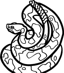 蛇 爬行動物 矢量素材 eps格式_0025