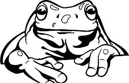 青蛙 爬行動物 矢量素材 eps格式_0018