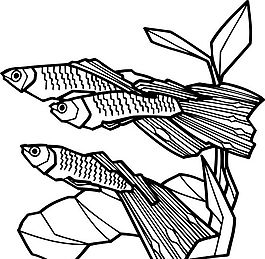 魚 水中動(dòng)物 矢量素材 eps格式_0068