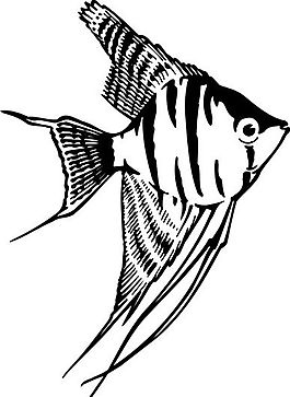魚 水中動(dòng)物 矢量素材 eps格式_0066