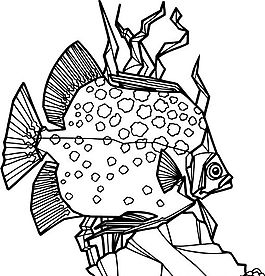 魚 水中動(dòng)物 矢量素材 eps格式_0065