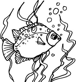 魚 水中動(dòng)物 矢量素材 eps格式_0062