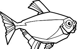 魚 水中動物 矢量素材 eps格式_0033