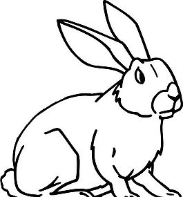 兔子 常見動物 矢量素材 eps格式_0011