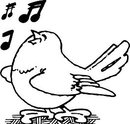 鳥(niǎo)類(lèi)世界 矢量素材 eps格式_0154