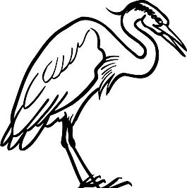 鳥類世界 矢量素材 eps格式_0152