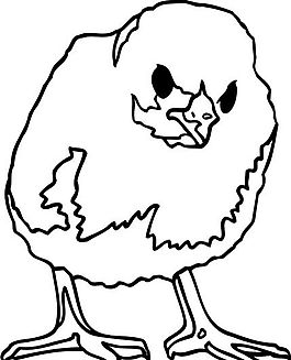鳥類世界 矢量素材 eps格式_0071