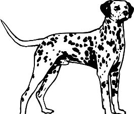 寵物 家禽動物 矢量素材 eps格式_0018