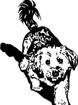 寵物 家禽動物 矢量素材 eps格式_0007