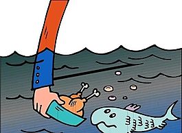 魚 水中運(yùn)物 矢量素材 EPS_0156