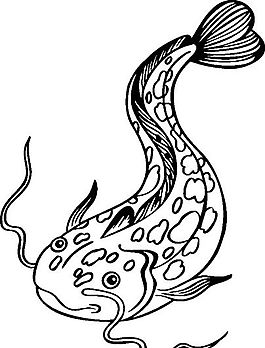 俄國矢量素材 矢量動(dòng)物 魚 ai格式_016