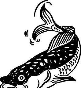 俄國矢量素材 矢量動物 魚 ai格式_015
