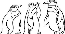 俄國矢量素材 矢量動物 企鵝 ai格式_001