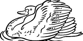 俄國(guó)矢量素材 矢量動(dòng)物 鳥(niǎo) ai格式_005