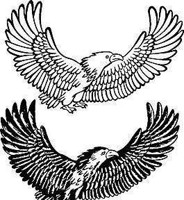 俄國(guó)矢量素材 矢量動(dòng)物 鳥(niǎo) ai格式_002