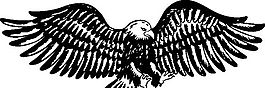 俄國矢量素材 矢量動物 鳥 ai格式_001