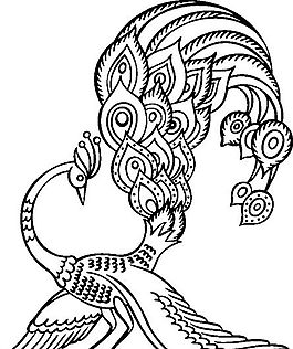 俄國(guó)矢量素材 矢量動(dòng)物 孔雀 ai格式_014
