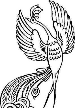 俄國矢量素材 矢量動物 孔雀 ai格式_013