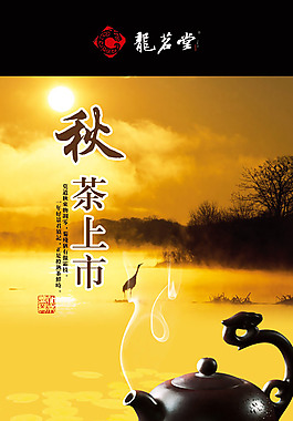 秋茶上市