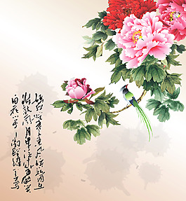 富贵花开