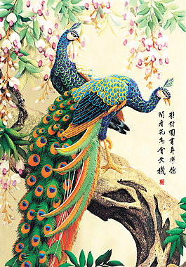 孔雀棲息