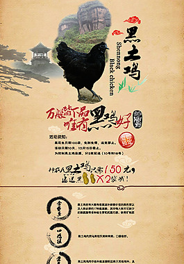 淘寶土雞店鋪首頁(yè)促銷(xiāo)海報(bào)